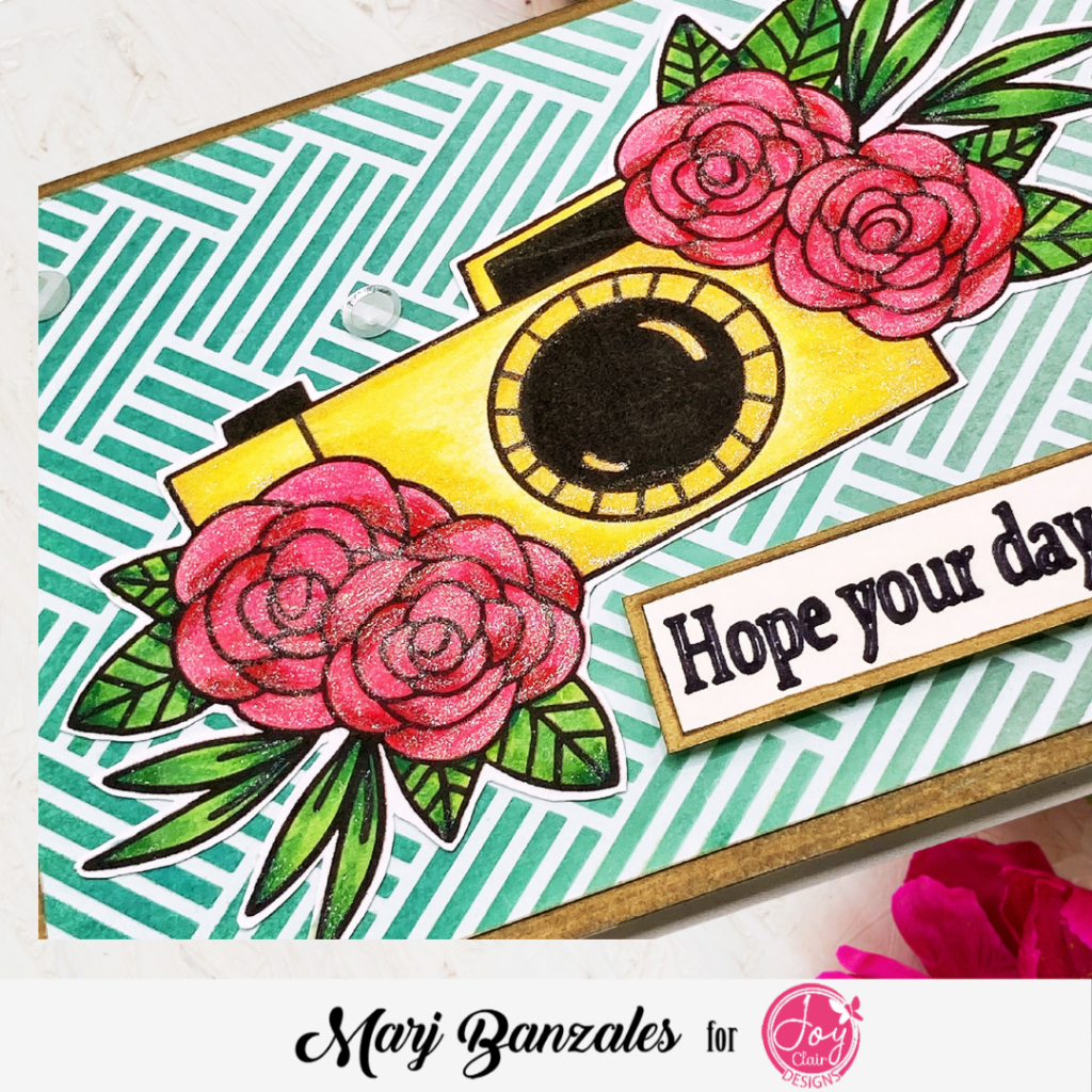 Beautiful camera floral with glitter