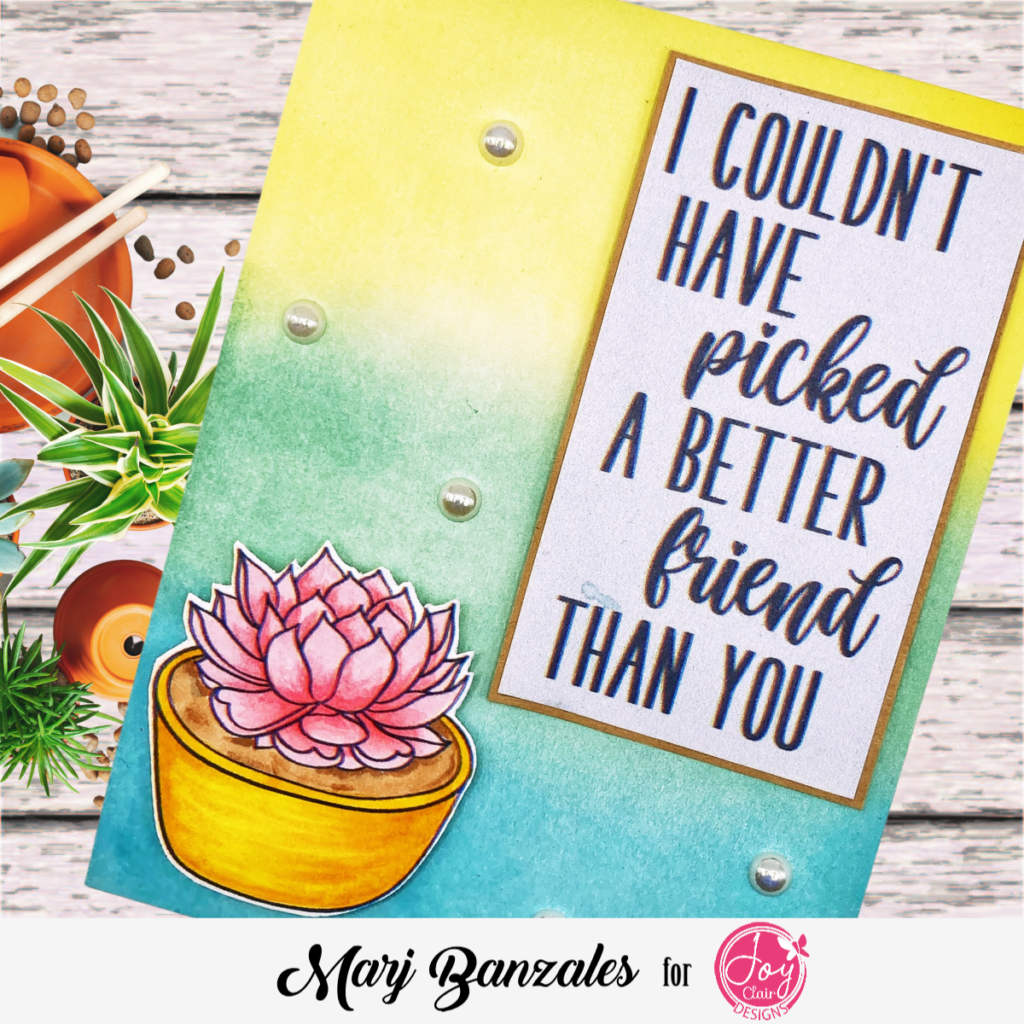 Beautiful succulent for a friend inkblended background
