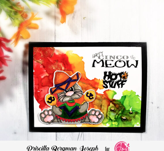 Happy Cinco de “Meow” with an Alcohol Ink Background